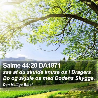 Salme 44:20 DA1871 Bible Verse Image