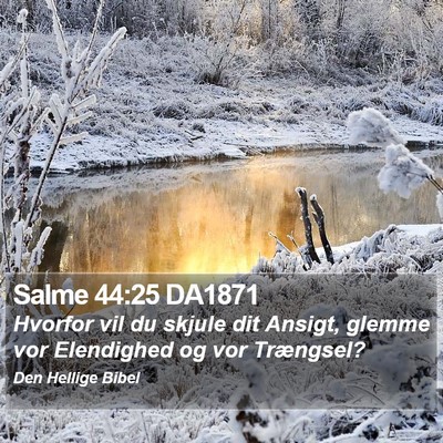 Salme 44:25 DA1871 Bible Verse Image
