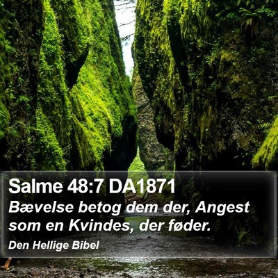 Salme 48:7 DA1871 Bible Verse Image