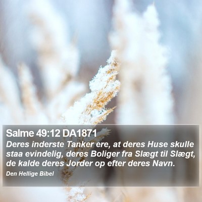 Salme 49:12 DA1871 Bible Verse Image