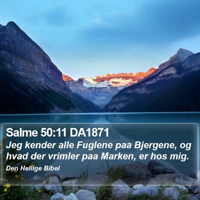 Salme 50:11 DA1871 Bible Verse Image