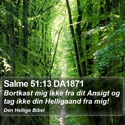 Salme 51:13 DA1871 Bible Verse Image