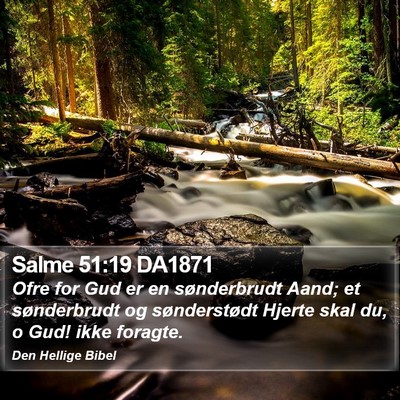 Salme 51:19 DA1871 Bible Verse Image