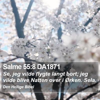 Salme 55:8 DA1871 Bible Verse Image