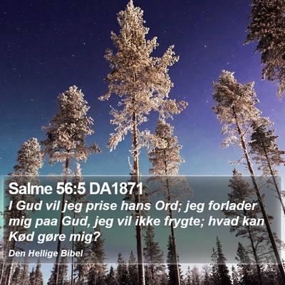 Salme 56:5 DA1871 Bible Verse Image