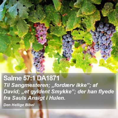 Salme 57:1 DA1871 Bible Verse Image
