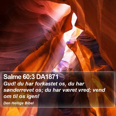 Salme 60:3 DA1871 Bible Verse Image