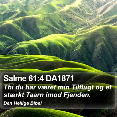 Salme 61:4 DA1871 Bible Verse Image