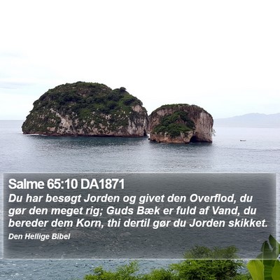 Salme 65:10 DA1871 Bible Verse Image
