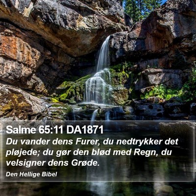 Salme 65:11 DA1871 Bible Verse Image