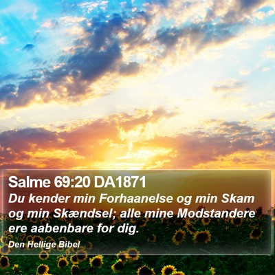 Salme 69:20 DA1871 Bible Verse Image