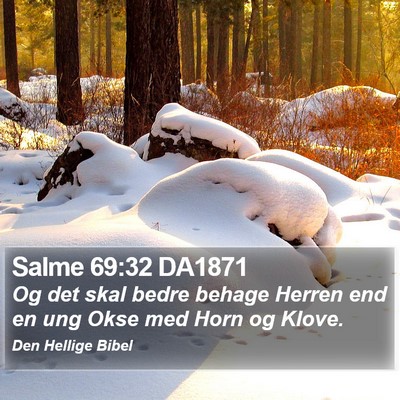 Salme 69:32 DA1871 Bible Verse Image