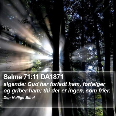 Salme 71:11 DA1871 Bible Verse Image