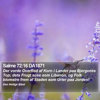 Salme 72:16 DA1871 Bible Verse Image