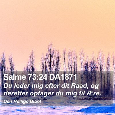 Salme 73:24 DA1871 Bible Verse Image