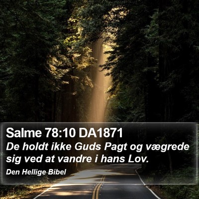 Salme 78:10 DA1871 Bible Verse Image
