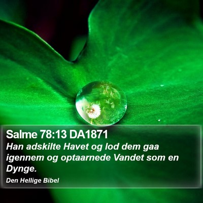 Salme 78:13 DA1871 Bible Verse Image