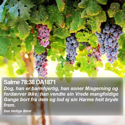 Salme 78:38 DA1871 Bible Verse Image