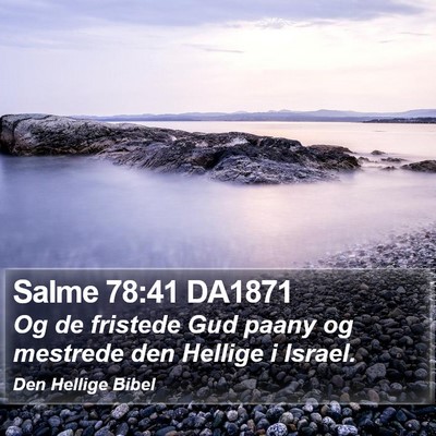 Salme 78:41 DA1871 Bible Verse Image