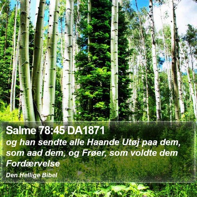 Salme 78:45 DA1871 Bible Verse Image