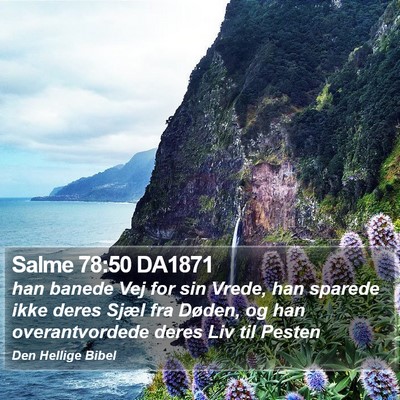 Salme 78:50 DA1871 Bible Verse Image