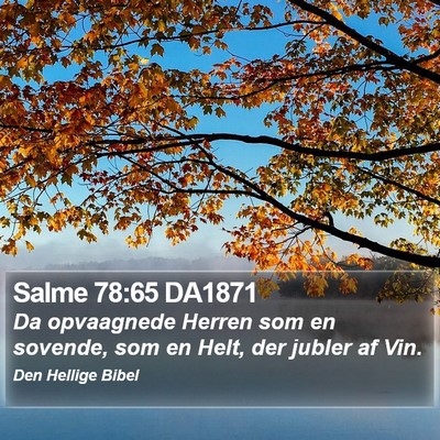 Salme 78:65 DA1871 Bible Verse Image