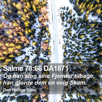 Salme 78:66 DA1871 Bible Verse Image