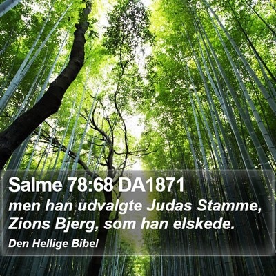 Salme 78:68 DA1871 Bible Verse Image