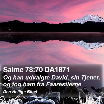Salme 78:70 DA1871 Bible Verse Image