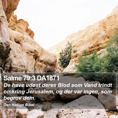 Salme 79:3 DA1871 Bible Verse Image
