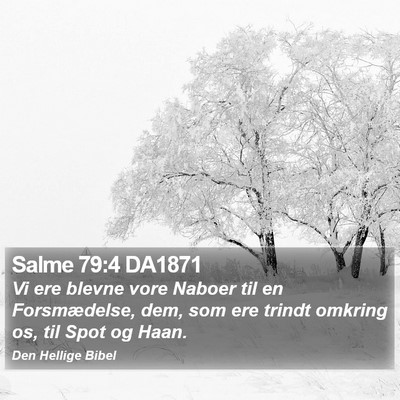 Salme 79:4 DA1871 Bible Verse Image
