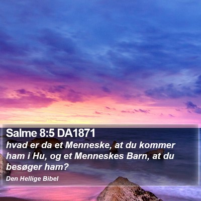 Salme 8:5 DA1871 Bible Verse Image