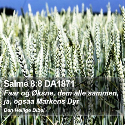 Salme 8:8 DA1871 Bible Verse Image