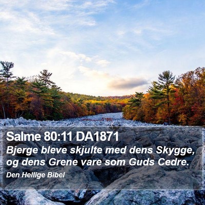 Salme 80:11 DA1871 Bible Verse Image
