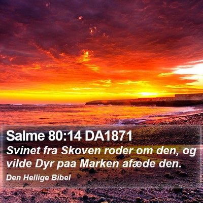 Salme 80:14 DA1871 Bible Verse Image