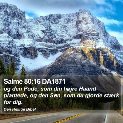 Salme 80:16 DA1871 Bible Verse Image