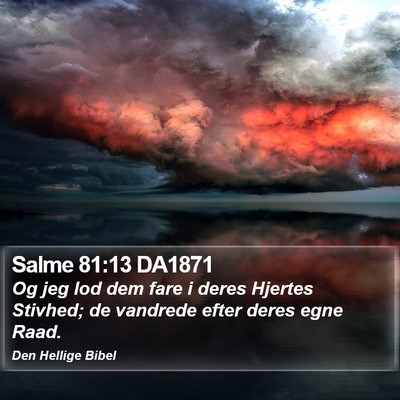 Salme 81:13 DA1871 Bible Verse Image