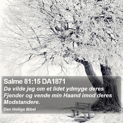 Salme 81:15 DA1871 Bible Verse Image