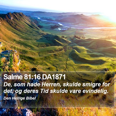 Salme 81:16 DA1871 Bible Verse Image
