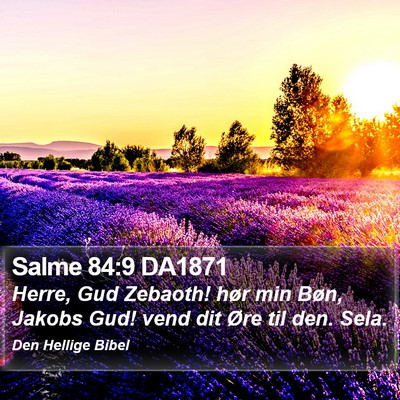 Salme 84:9 DA1871 Bible Verse Image