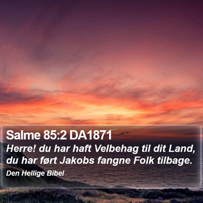 Salme 85:2 DA1871 Bible Verse Image