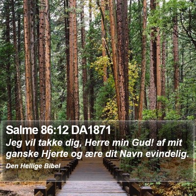 Salme 86:12 DA1871 Bible Verse Image
