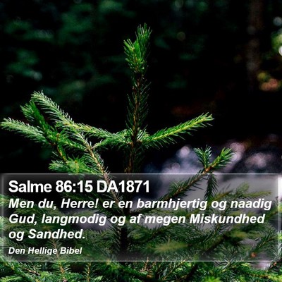 Salme 86:15 DA1871 Bible Verse Image