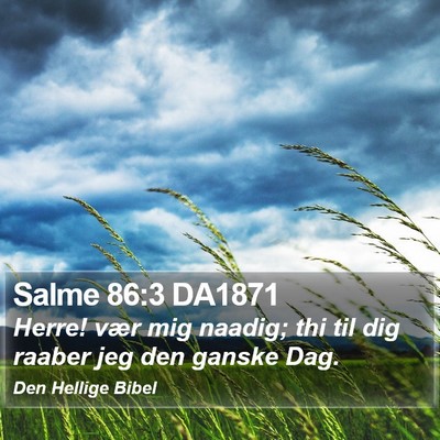 Salme 86:3 DA1871 Bible Verse Image