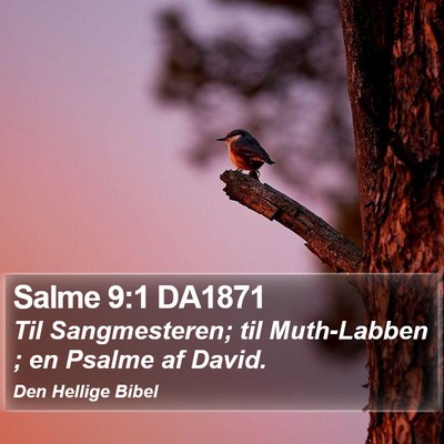Salme 9:1 DA1871 Bible Verse Image