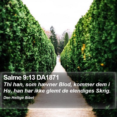 Salme 9:13 DA1871 Bible Verse Image
