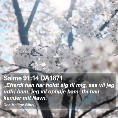 Salme 91:14 DA1871 Bible Verse Image