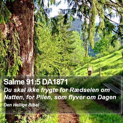 Salme 91:5 DA1871 Bible Verse Image