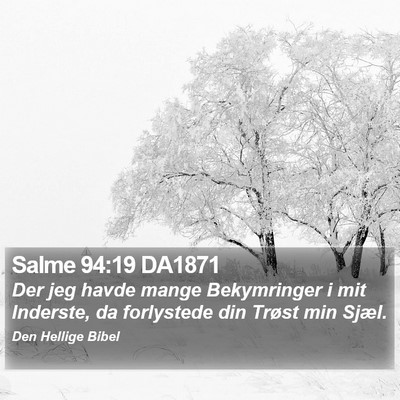Salme 94:19 DA1871 Bible Verse Image