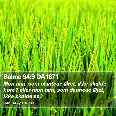 Salme 94:9 DA1871 Bible Verse Image